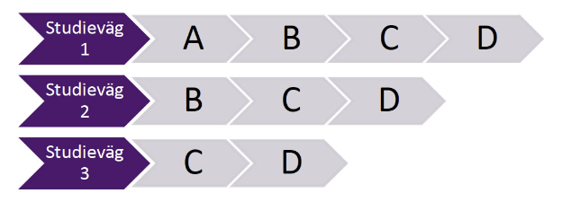 Bilden visar möjliga studievägar för dig som studerar på SFI. The picture show you possible ways to study SFI