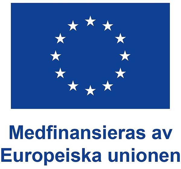 Logo Medfinansieras av Europeiska unionen