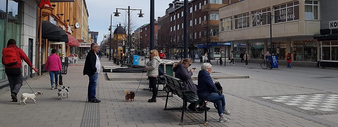 Storgatan i Luleå med personer som rastar hundar och några som sitter och vilar på parkbänk